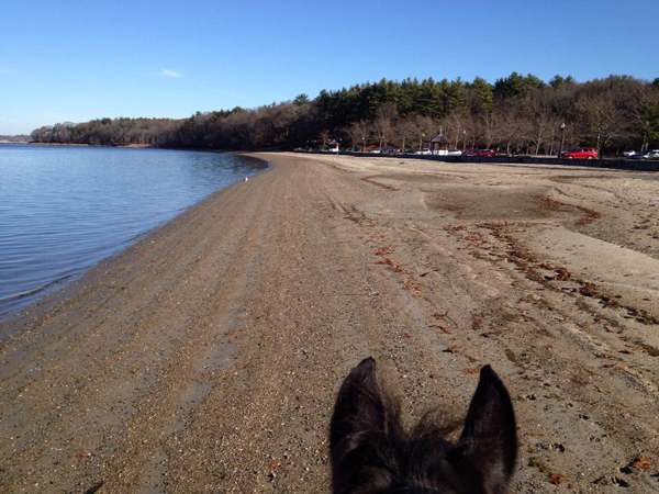 Goddard Memorial State Park along the shores of Greenwich Cove and Greenwich Bay